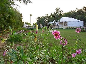 Jungle View Resort Sawai Madhopur Luaran gambar
