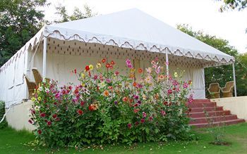 Jungle View Resort Sawai Madhopur Luaran gambar