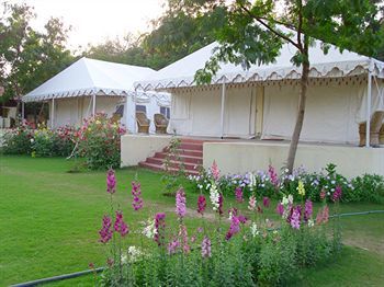 Jungle View Resort Sawai Madhopur Luaran gambar